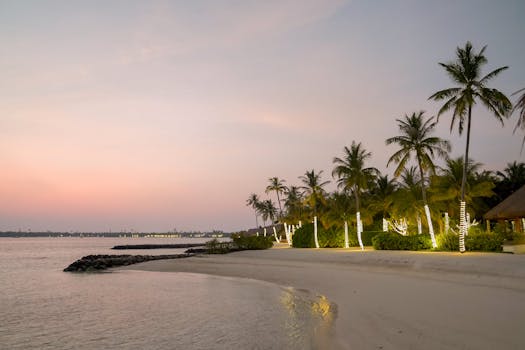 Scenic Coastal Resorts With Elegant Sunset Lagoon Gardens